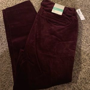 Maroon velvet pixie pants